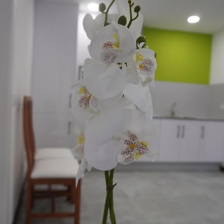 Apartamento Sanin 3 Lumbrales المظهر الخارجي الصورة