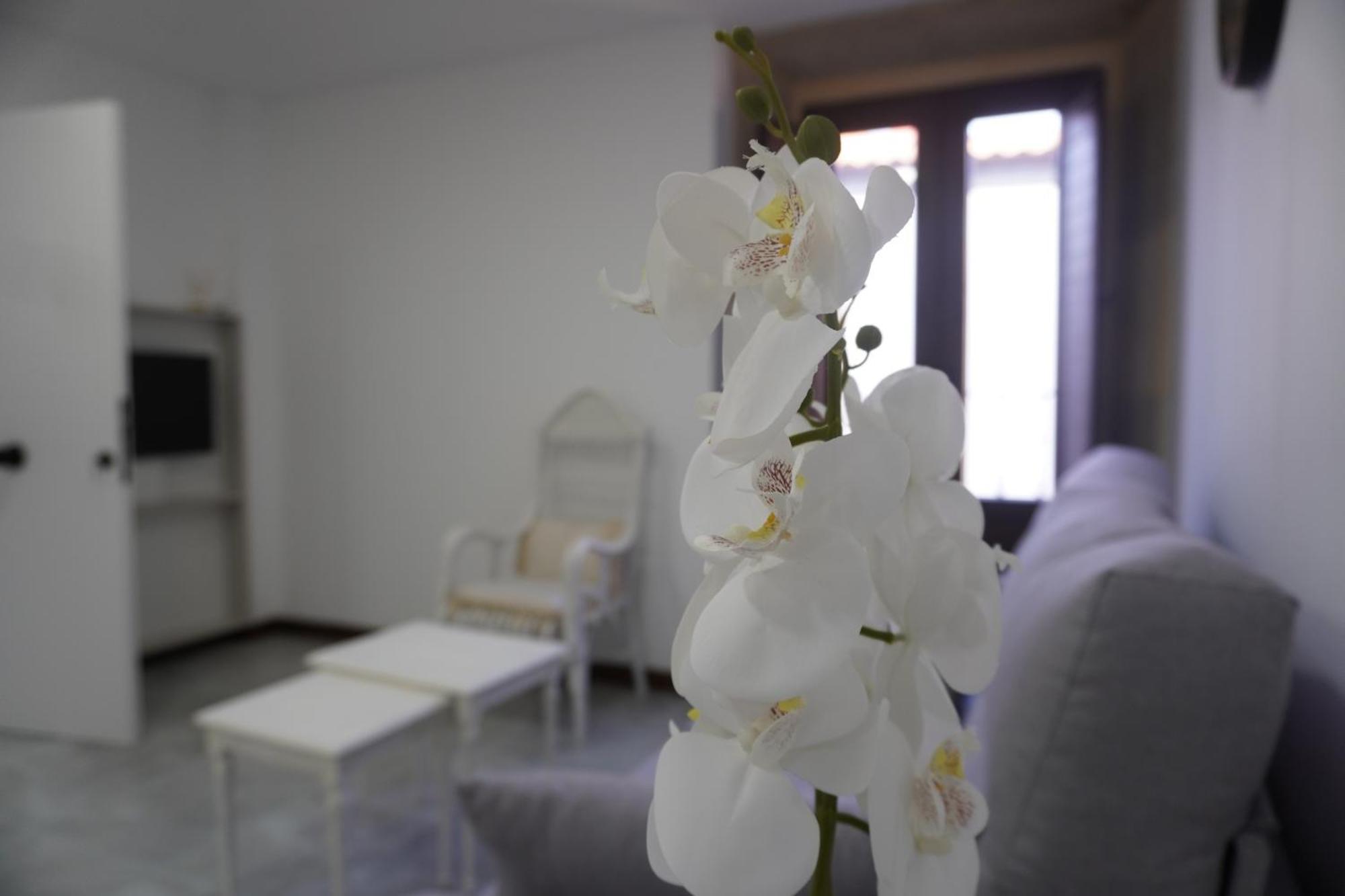 Apartamento Sanin 3 Lumbrales المظهر الخارجي الصورة